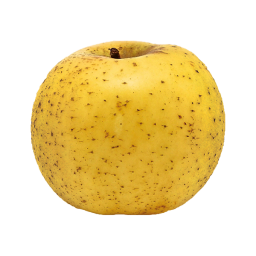 5ea6b0ba3567d_pomme_chanteclerc.png