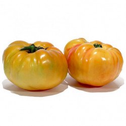 5eefbd9dc27e7_tomate-allongee-coeur-de-boeuf-orange-france-catii-5kg.jpg